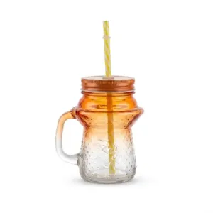 Bouteille en Verre avec Couvercle + Paille