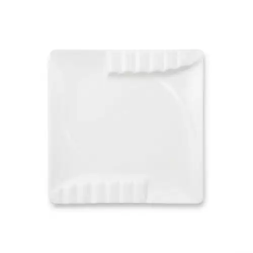 Assiette Carre en Porcelaine 31 cm 018