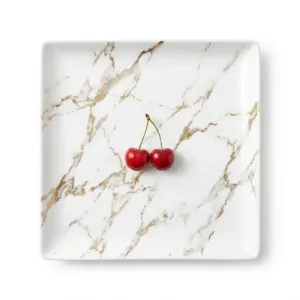 Assiette Carre en Porcelaine Blanc Ø 24 cm