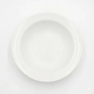 Assiette Creuse Rond en Porcelaine 18.5×6
