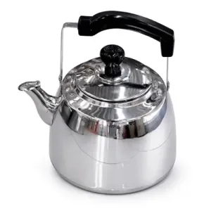 Bouilloire en Inox Luxe 4 Litres